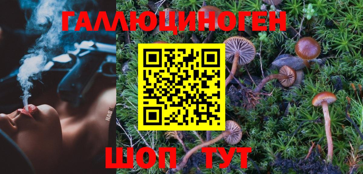 Кыштым  Галлюциногенные грибы Psilocybine cubensis  Вход с VPN 