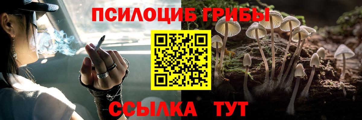 Псилоцибиновые грибы Psilocybe Кыштым